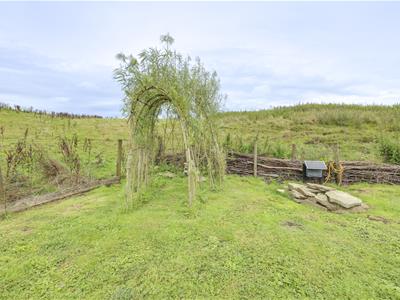 Picture 41